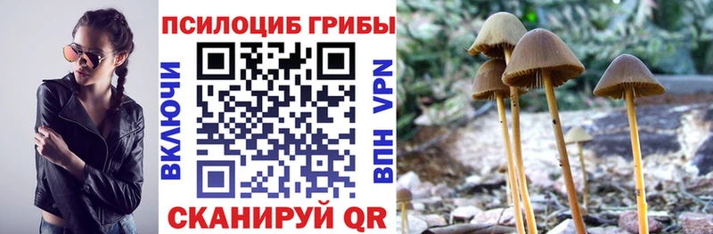 Галлюциногенные грибы прущие грибы  Купить закладки  Кашин 