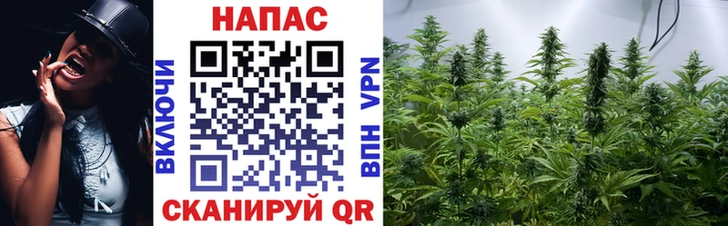 Бошки Шишки Bruce Banner  Купить где  Кашин 